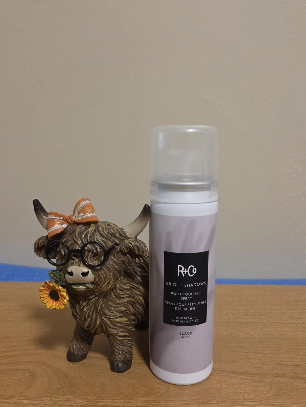 R+Co Bright Shadows Root Touch-Up Spray — Black with Tan Accent